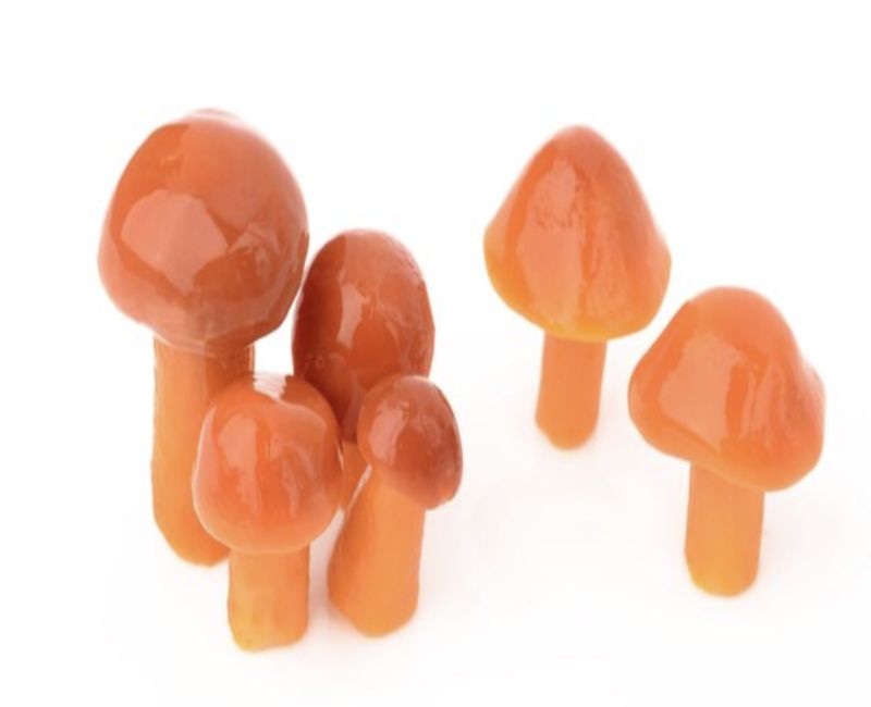 Indulge Your Senses: Best Magic Mushroom Gummies for Blissful Trips